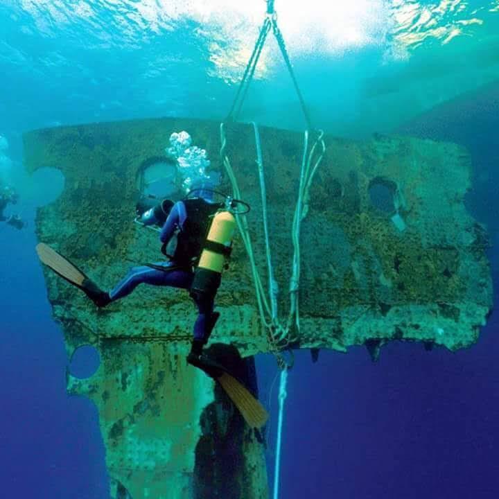 WhatsApp Image 2023-04-20 at 06.1114.03